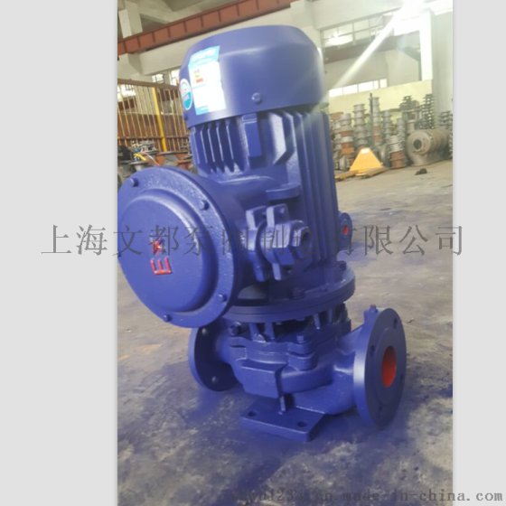 供应上海文都牌YG605-100型防爆管道油泵